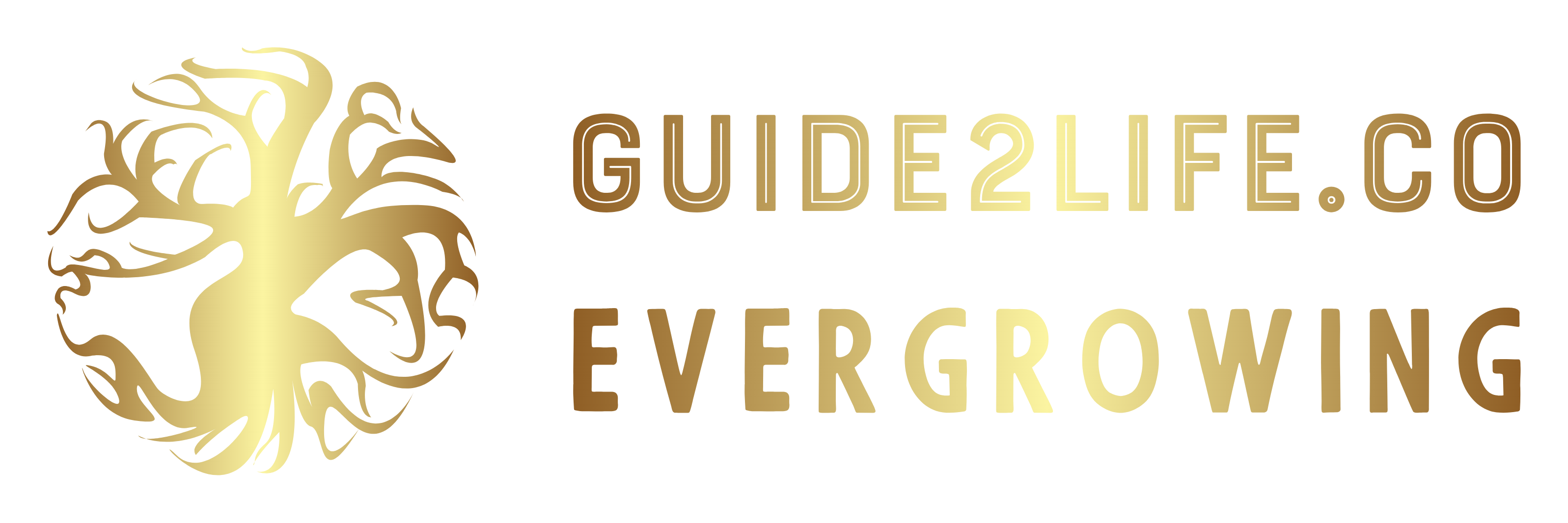 Guide2Life.co